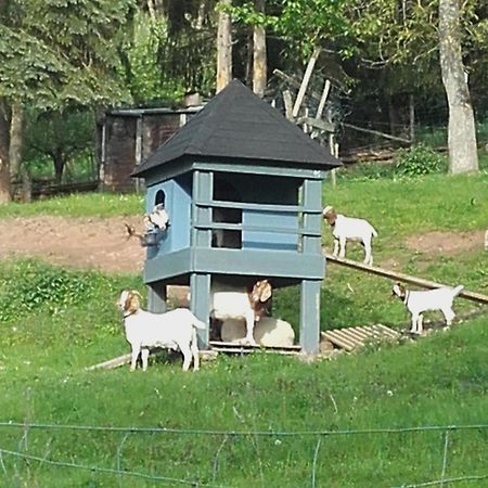 Ferienhaus Strunks ahl Häusje Alken Exterior foto